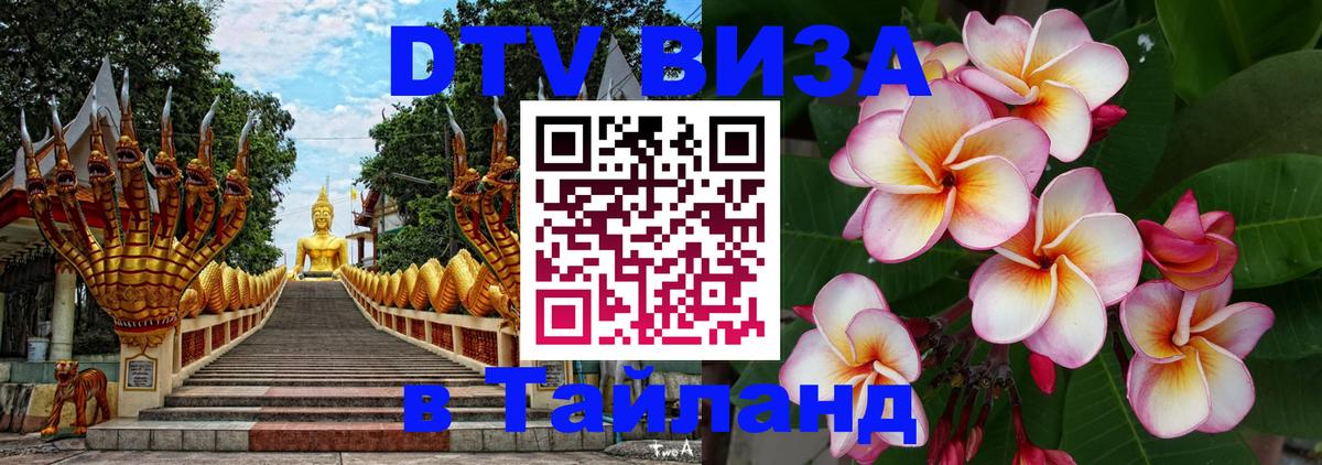 DTV Visa Тайланд купить 